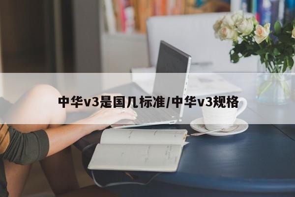 中华v3是国几标准/中华v3规格