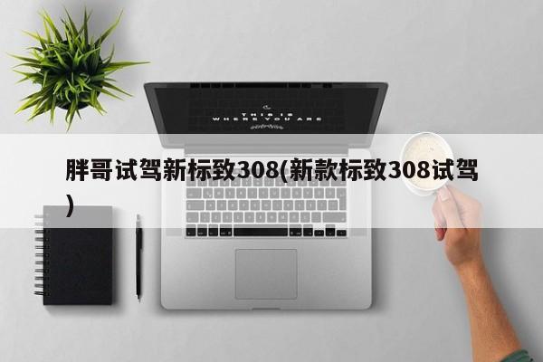 胖哥试驾新标致308(新款标致308试驾)