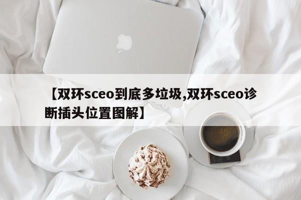 【双环sceo到底多垃圾,双环sceo诊断插头位置图解】