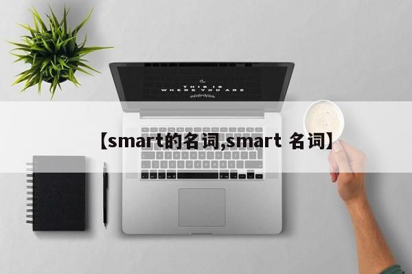 【smart的名词,smart 名词】