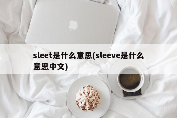 sleet是什么意思(sleeve是什么意思中文)